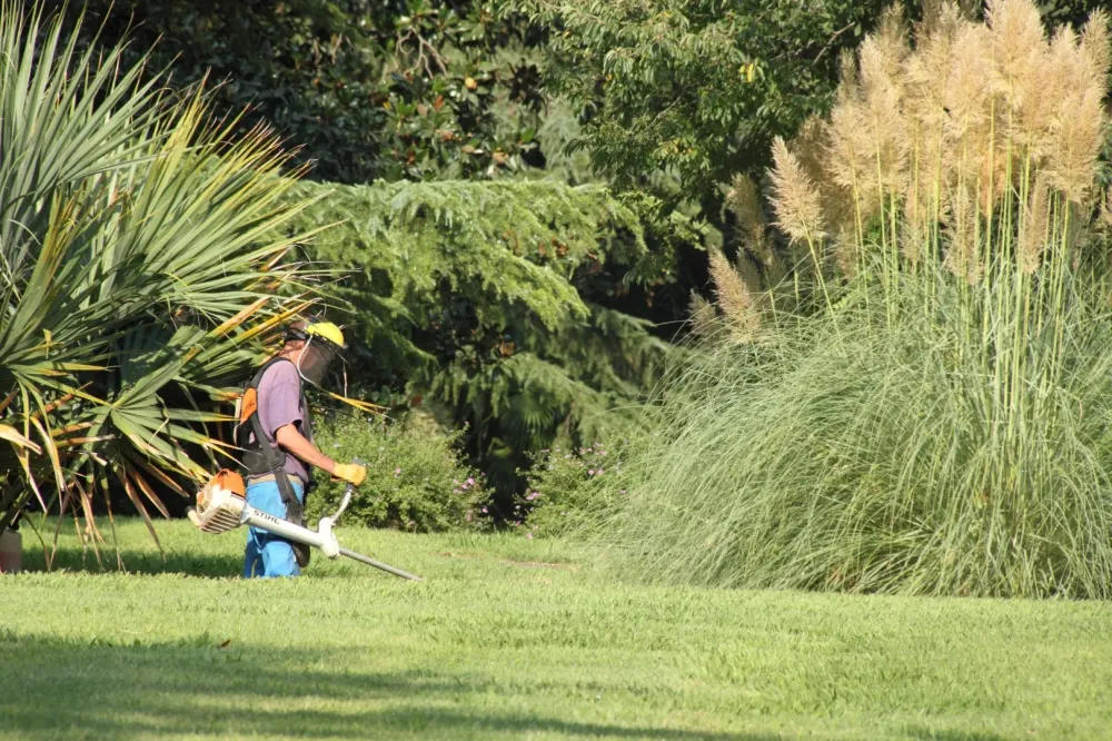 Débroussaillage terrainwebp